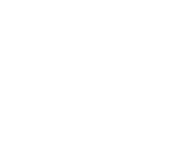 Handshake Icon